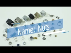 Angesenkte Hauptzink-Legierungs-Möbel-Nuss-China-Nüsse